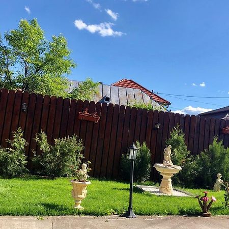 فندق Casa Alexia Haţeg المظهر الخارجي الصورة