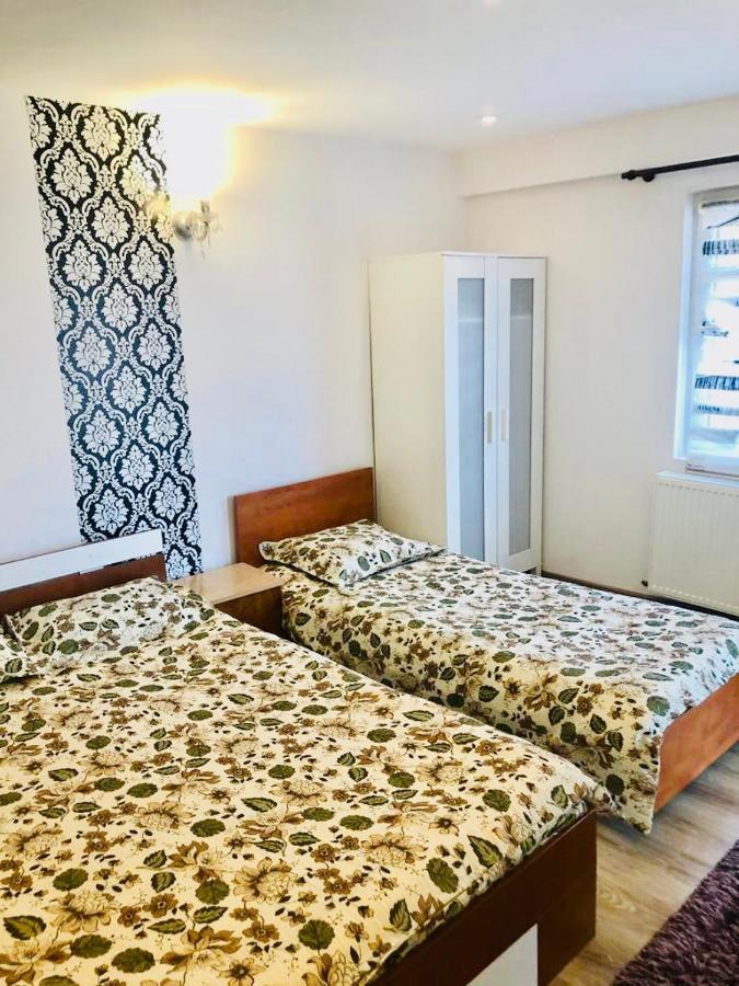 فندق Casa Alexia Haţeg المظهر الخارجي الصورة