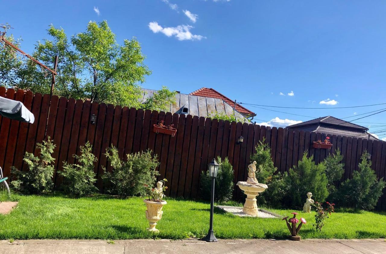 فندق Casa Alexia Haţeg المظهر الخارجي الصورة